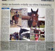 Den-koni-v-deniku