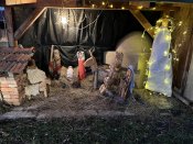 Img_6017_2